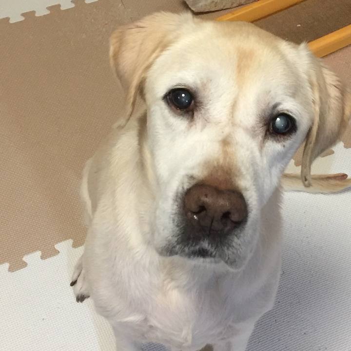 74cf33c7 52fa 4261 9b3f 6603e0128e40 1515148181605