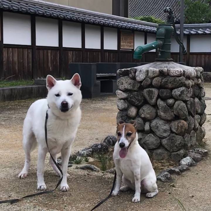 74cf4ec5 19fe 463b 9b6c 87a5bd9926d1 1525171957029