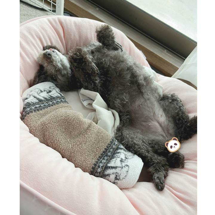 74cf7b0f a295 4ffc b7e9 0067c0256628 1688185703670