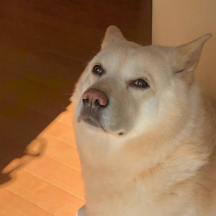 74cf8aa5 6d07 4d33 9738 15b30a3abfa2 1541905354317