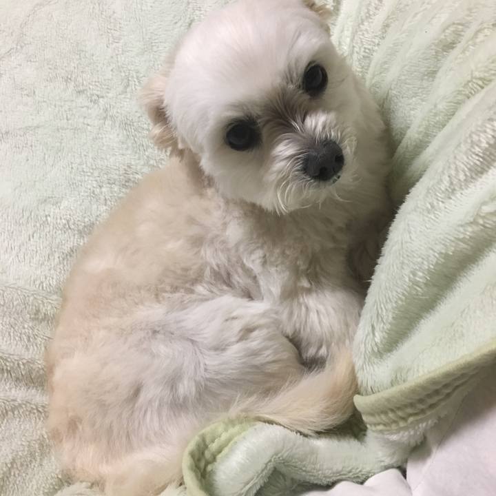 74cf961c 2da9 4f50 9973 f5f79d8feb57 1553595211845