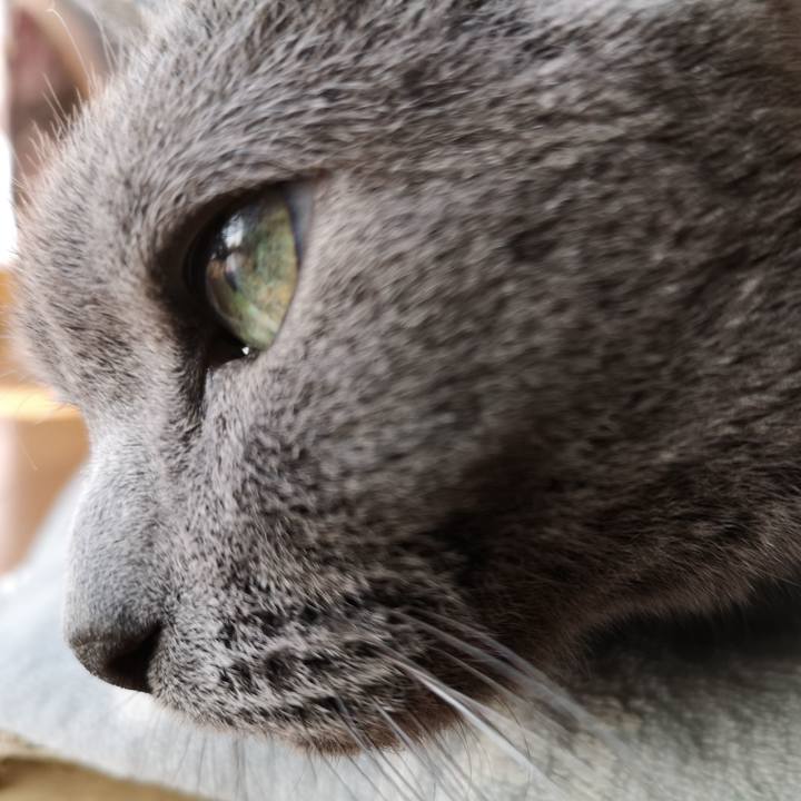 74cfd79d 5646 45cf b638 b1bf6ea83512 1582506525968