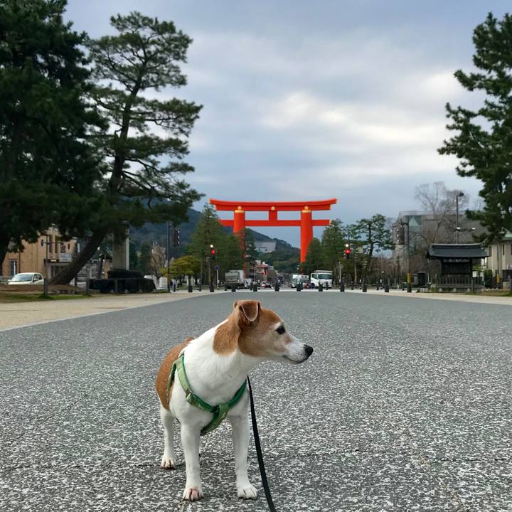 74cfdce8 5d54 4036 ac47 5aafcaac6d4c 1584523621570