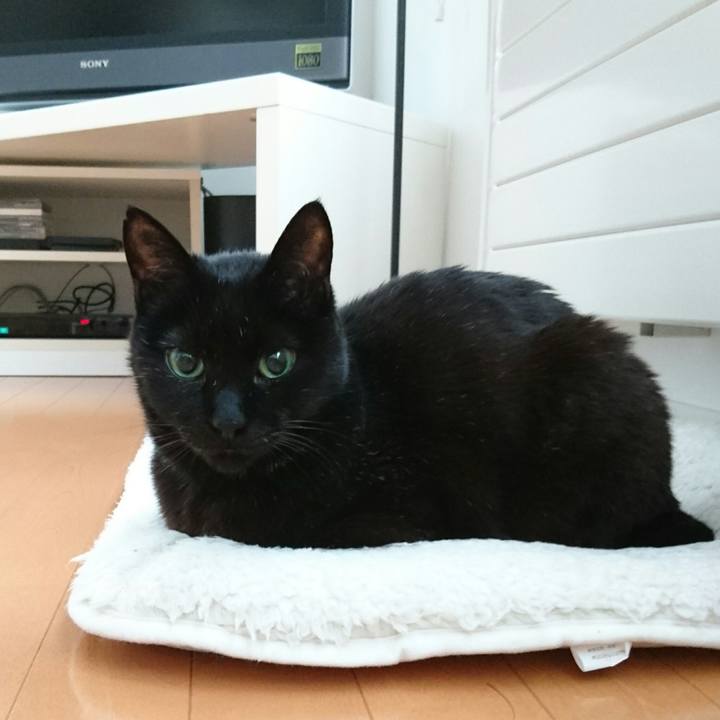 74d00292 7203 4584 a035 d2f45eabaa8e 1513865257731