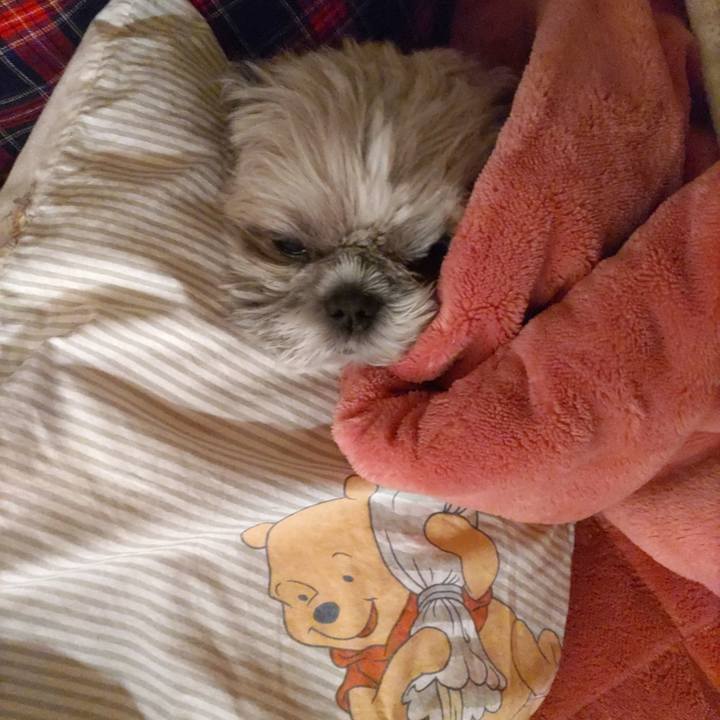 74d017fe 0c2d 453c 9e34 3e056707753b 1765500389914