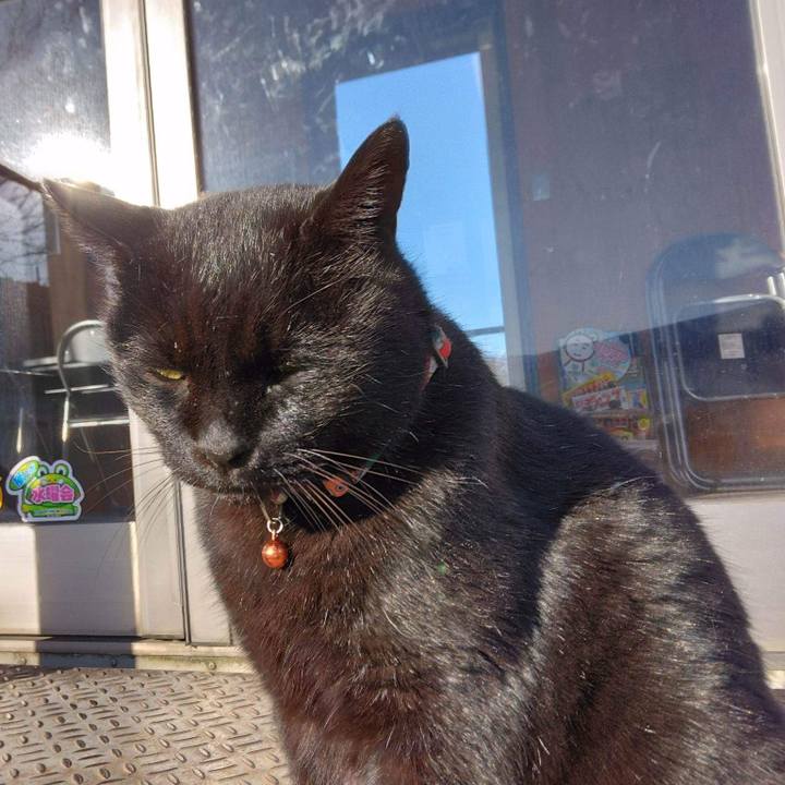 74d0b69b 78b7 4d3d a1c7 30252761698d 1671186510843