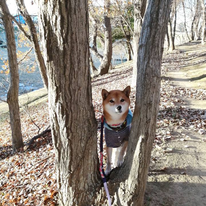 74d0b894 abeb 40e6 887e c8619a16e116 1608191713412