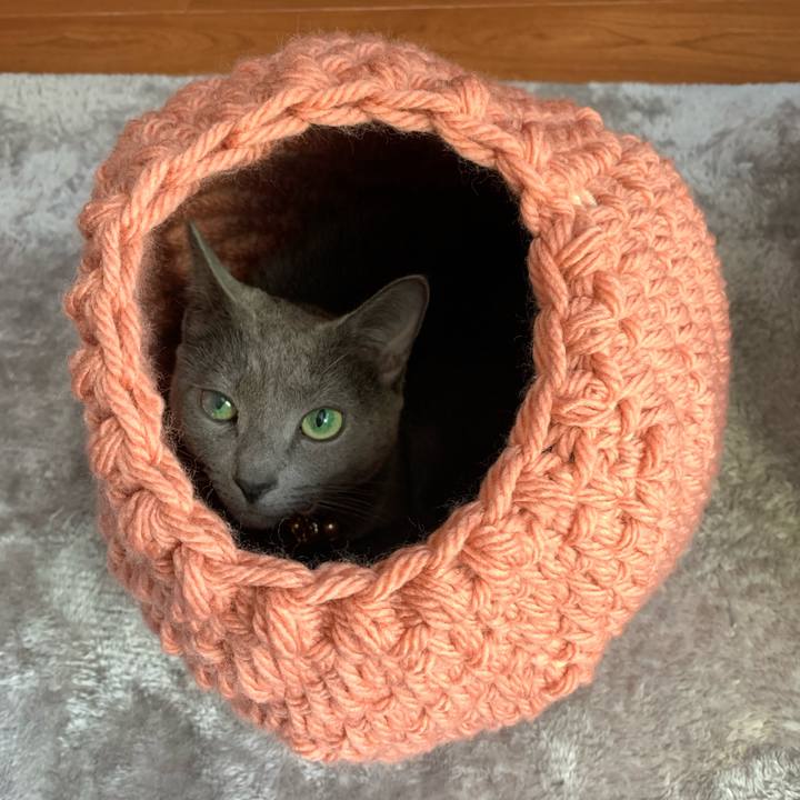 74d0bad1 1d2b 4995 a9fc b262b6a9e9f0 1638513215528