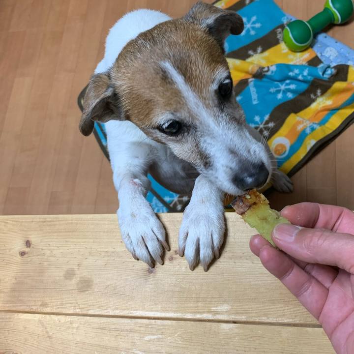 74d0c016 b28d 48af 9ffe b6afa52ee089 1576583303559