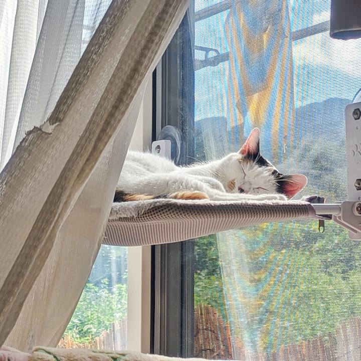 74d0d53c d3b1 4c2c a584 1ef671397661 1757981581432