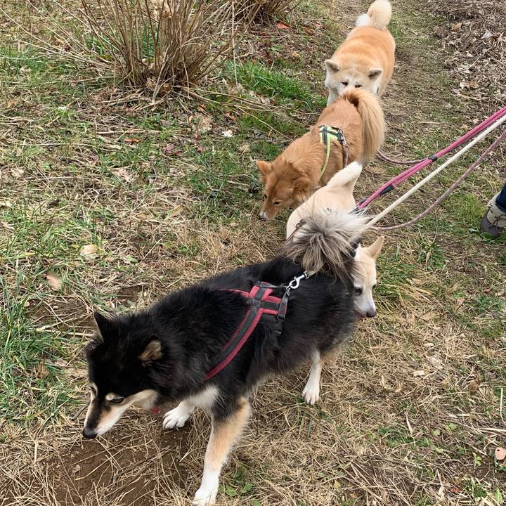 74d0d628 1fba 4043 b8fa b0622a15ef8b 1578807153454