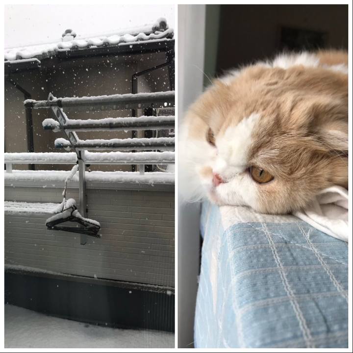 74d0e879 7986 4bb8 8543 006964ffc23f 1585478518729