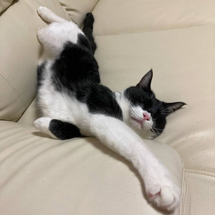 74d10611 d867 4585 ac01 3a9f503bc779 1631531522766