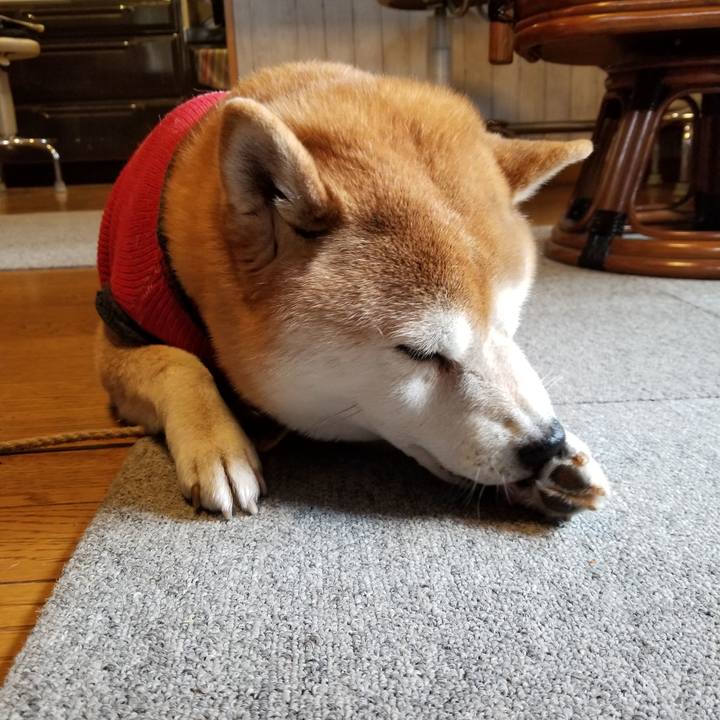 74d12b84 9d8e 447f b286 5cc4cf3b97ba 1607297339846