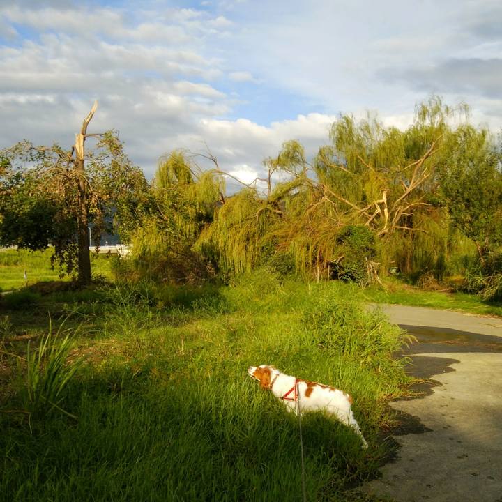 74d1448a 52bf 46e5 9d8e 8ce47d95dfad 1536666310048