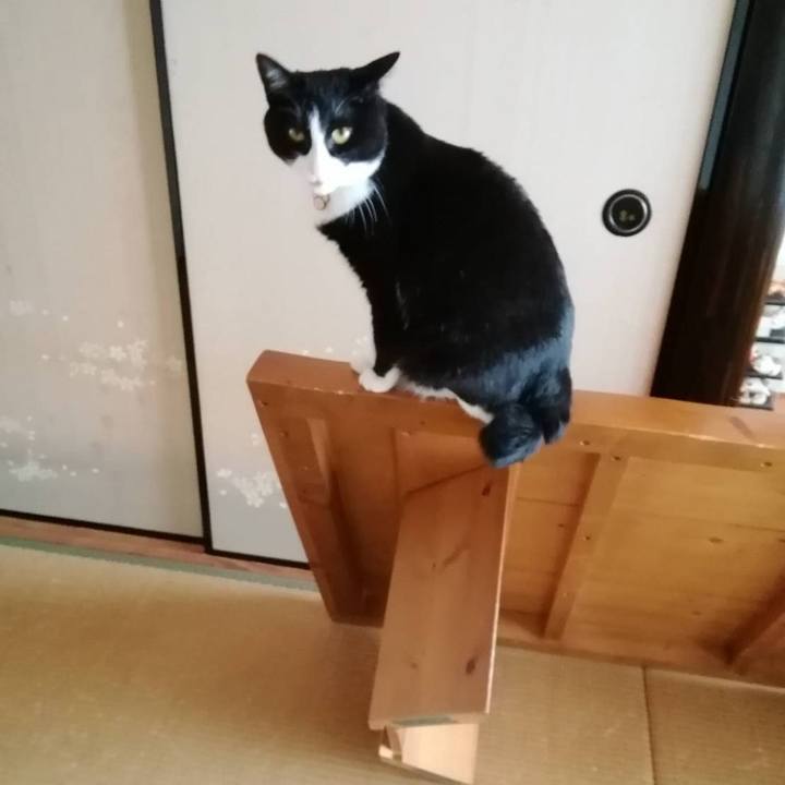 74d177ce e729 44c0 8f6a 628de57d5c44 1558858646986