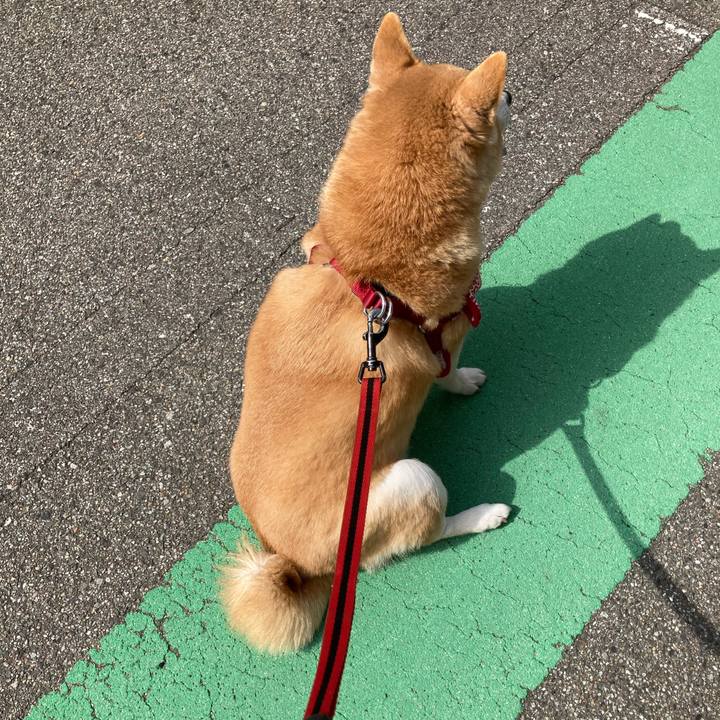 74d17ba4 ef34 46fb 906d dc7f60a3f86e 1617108336276