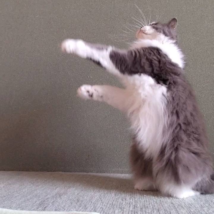 74d1877e cad8 4258 98a4 b6d86d7bc2e9 1761621614306