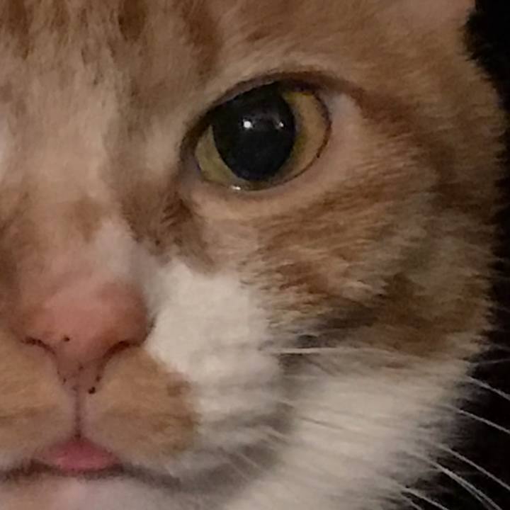 74d1958f 16ab 4557 883a e59767b18b93 1520508764884