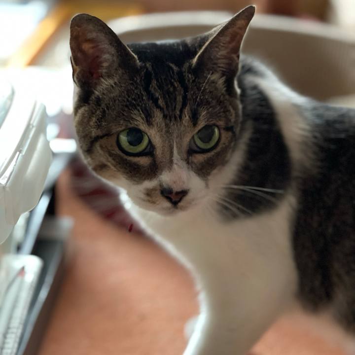 74d1cc54 e26e 44b4 b2bd 6f488f26c262 1628732251995