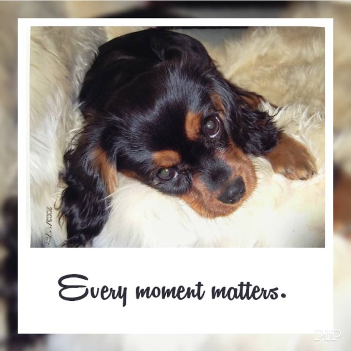 74d20dd1 56d0 4ca3 af5e b3bdfe83bd8a 1510101059829