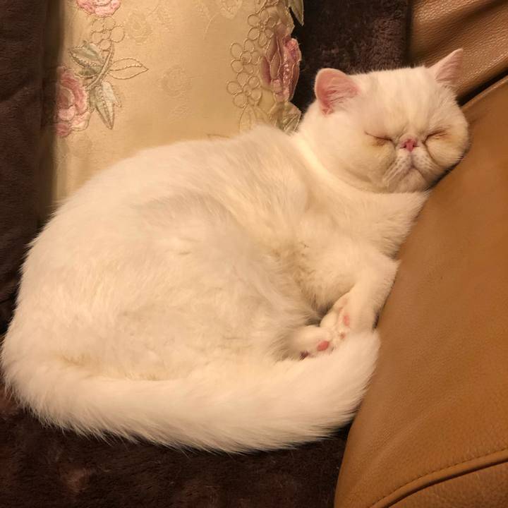 74d21b8a 7394 4548 856d 9bb87c01b5c9 1573136145194