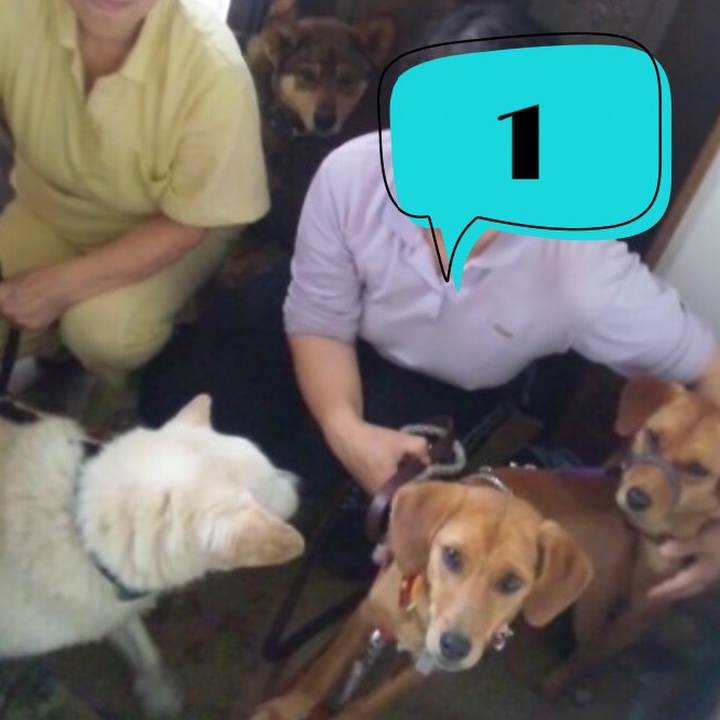 74d21ba0 26d5 4dbc 9ae6 0b638257bdf7 1556554898144