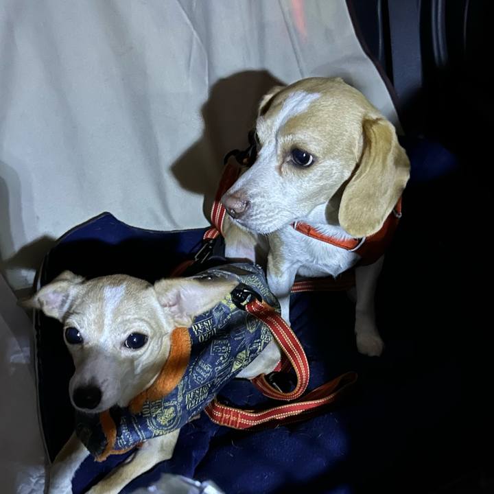 74d221c2 40be 443e b94a c4333ade54ba 1674213611635