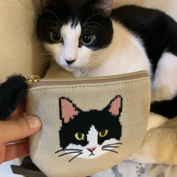 74d2239f ef6b 4922 b210 9a2e596a0684 1737539025497