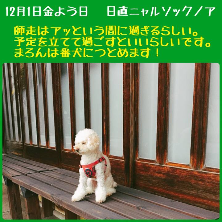 74d293fa cd85 4140 bbeb afd1af25c004 1512089922609