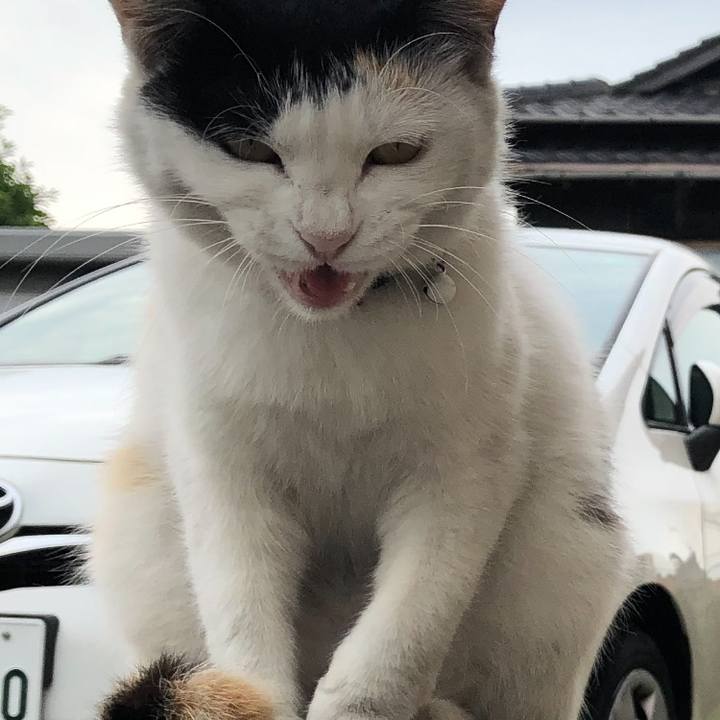 74d2a127 83d3 477f acdd 59aff070a605 1622585411080