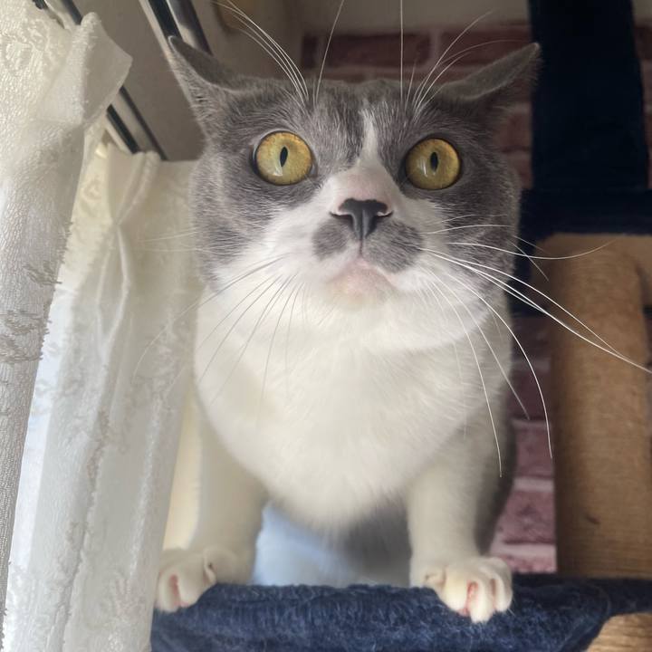 74d2b727 2f2f 4173 86e0 0866391baa5f 1731113353494