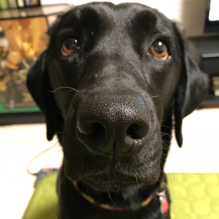 74d2dcf7 50f3 4c6a a1b9 373a60c32d42 1523620891945