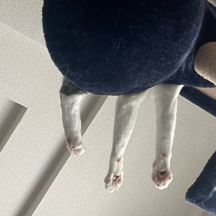 74d2e8f7 8268 4998 9efe 3acc8ddf9627 1627116305009