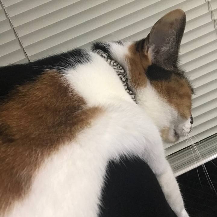 74d3375c 7f3b 4f48 81e4 7ca892186e16 1512776637202