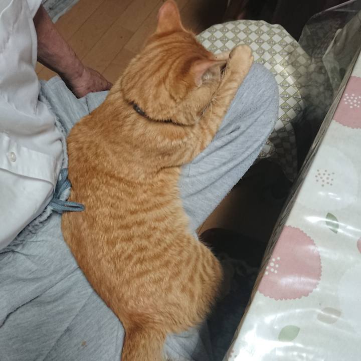 74d348ad c220 4738 bcb7 0c801fc1affe 1651829003283