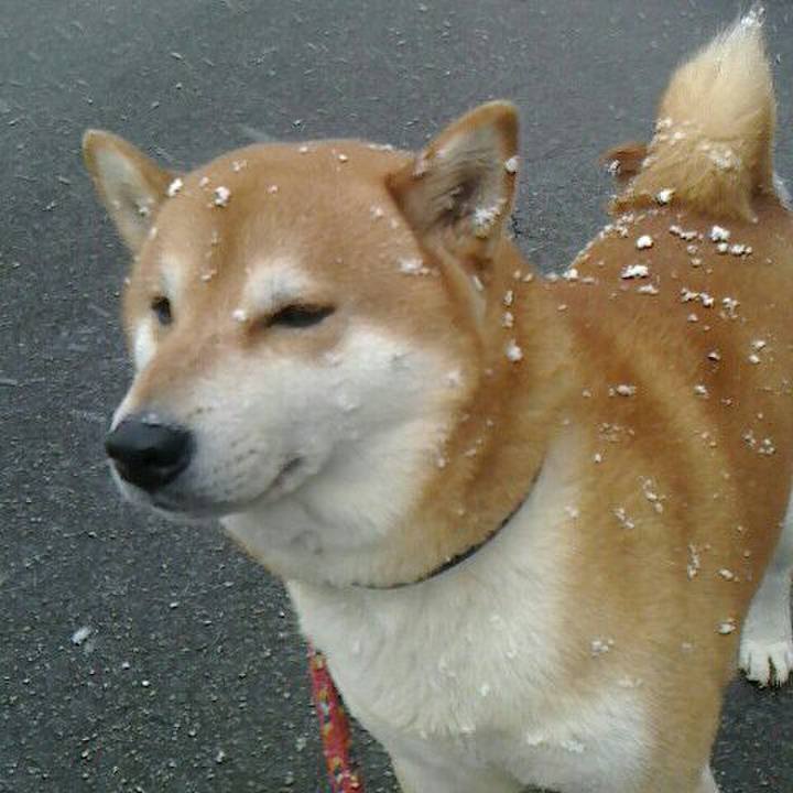 74d35165 4991 40af 9597 528e5218e411 1548490207753