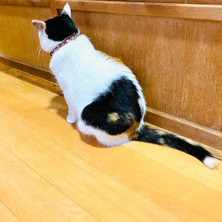 74d36e55 39f4 44c0 a55e c9db714ad4e0 1688682270687