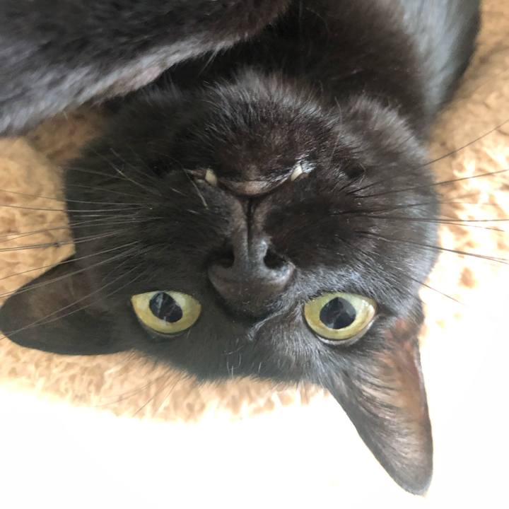 74d378dd eaef 4820 81e7 aa8e373d388f 1594629576776