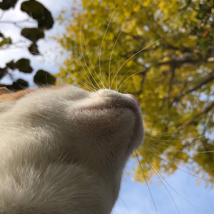 74d3937f 8905 4650 9788 6295f6949303 1541563994752