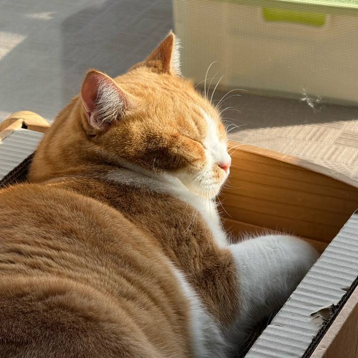 74d3a049 4b5c 4880 9582 637dd0122410 1763772853618