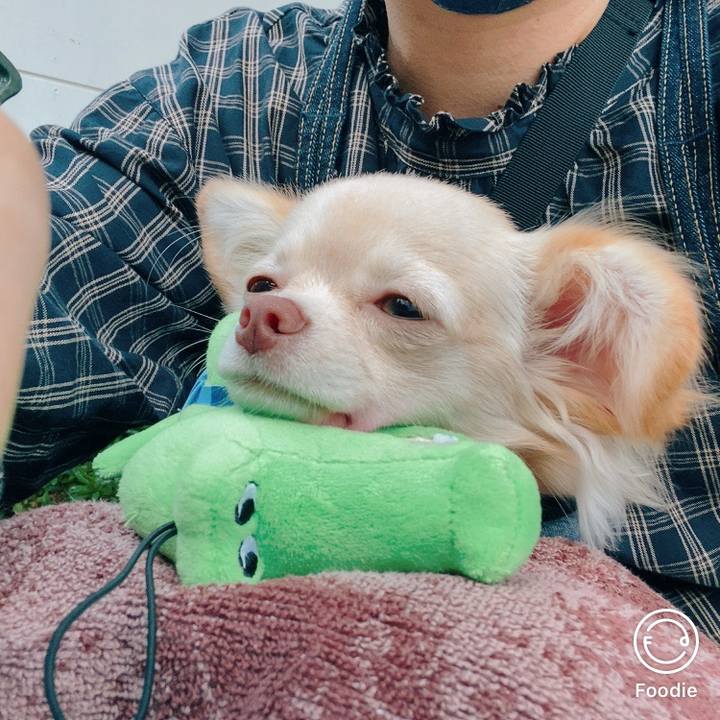 74d3d69f 9d75 48a8 a0bf 99267b127371 1600674143972