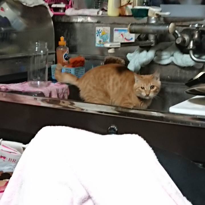 74d3d755 a2d7 4d35 a1b1 5c6437f92482 1634762802168