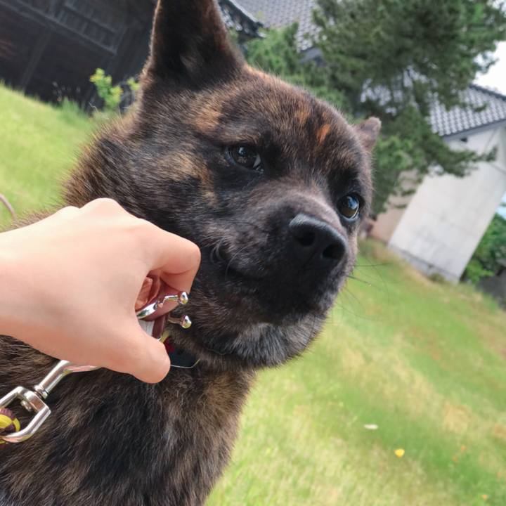 74d3e4f6 c00b 4965 b95a d0855a39ebb9 1528614724269