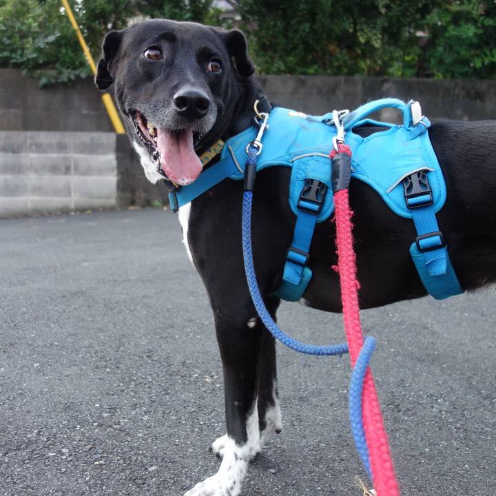 74d3f8c6 0904 4708 a292 7d25cf5efab7 1633734382600