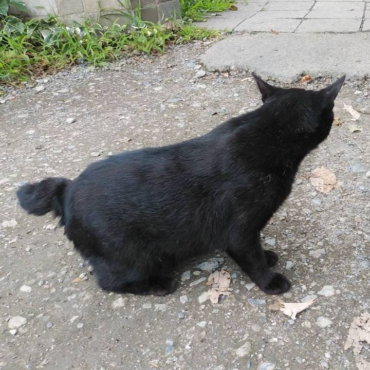 74d3fcea 927a 4ae9 9c8d 32f3d593c873 1567475159291