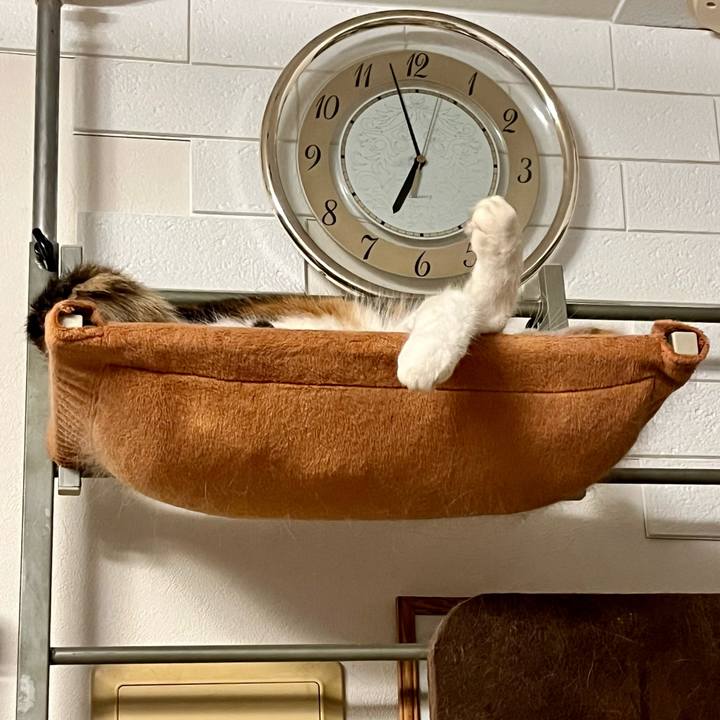 74d414ea 95fa 450f 983b 29f5e69b51f6 1697277272400