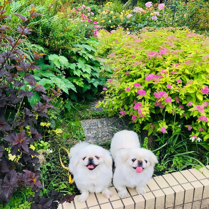 74d47428 f3c7 4539 9bee e46a61b83a7d 1621038835440