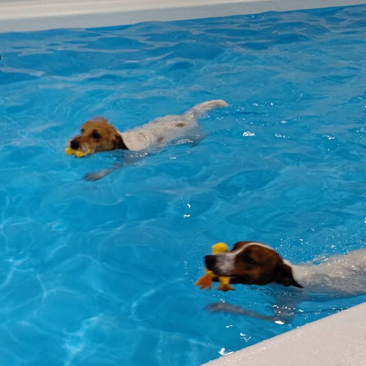 74d489da 3df1 480a 8f61 0f542ad1057d 1651225969122