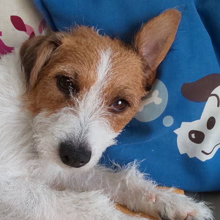 74d48d37 76af 47a6 9c1e f829f41b1e07 1570158328959